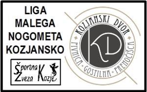 liga malega nogometa Dvor